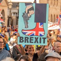 Britu problēmas: 'Brexit' īpatnējais nacionālisms, kašķi ar Eiropu un labumu zaudēšana