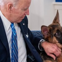 Džo Baidena suns vismaz 24 reizes iekodis ASV Slepenā dienesta aģentiem
