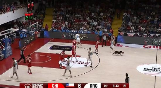 Video: Suns nočiepj bumbu un izskrien basketbola spēles laukumā
