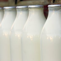 Латвийским переработчикам не хватает молока, конкуренция очень жесткая