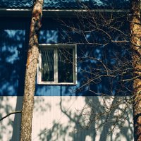 Iemesli, kādēļ koku stādīšana mājas tuvumā rūpīgi jāapdomā