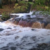 Foto: Kurzemes upēs ļoti augsts ūdens līmenis; laivotājiem rudens sezona rit pilnā sparā