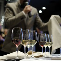 Ozollapu vīns un piparkūku sidrs – Latvijas vīndari atrādījuši savu veikumu