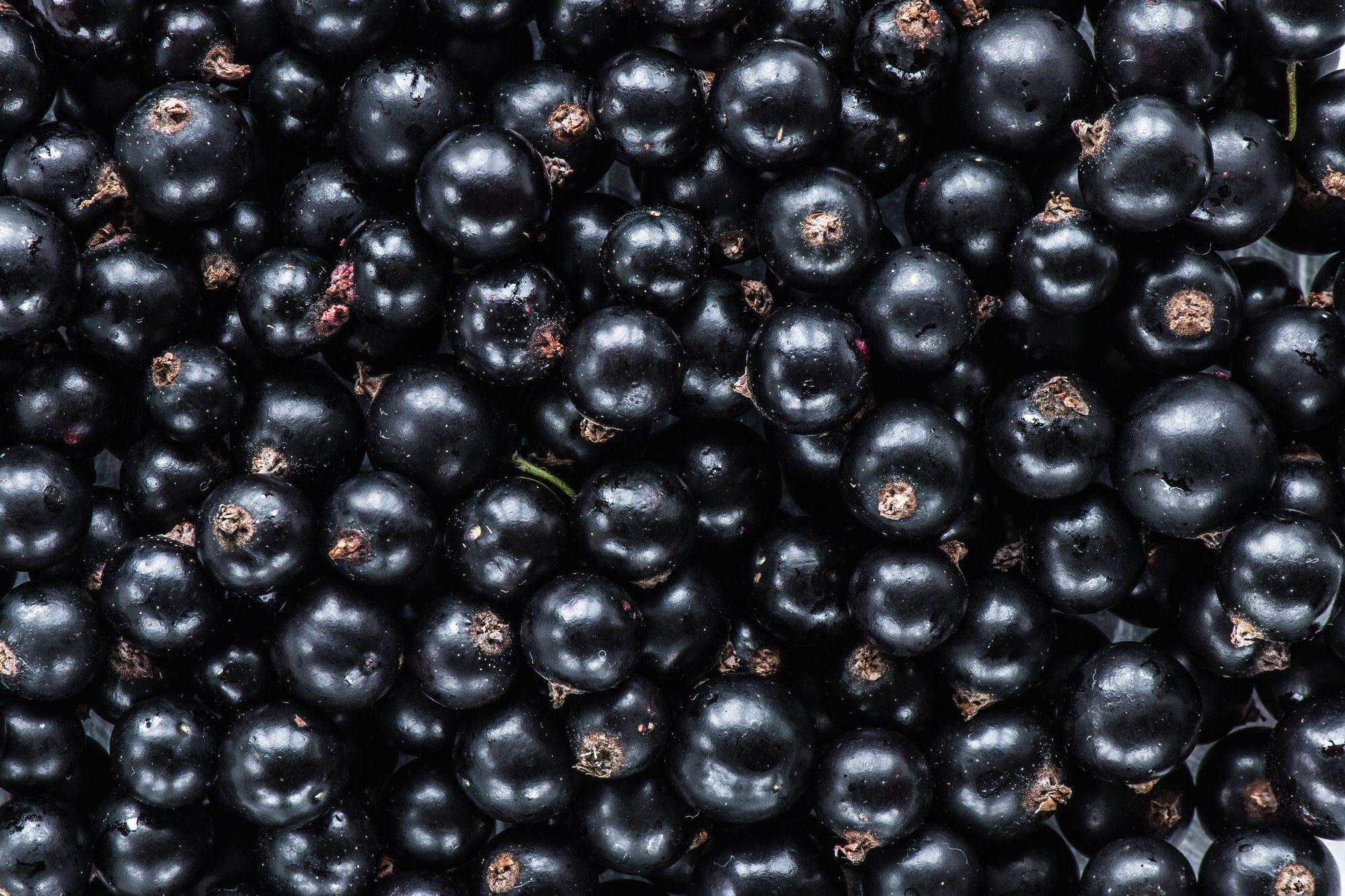 Ароматная ягода. Ягоды черной смородины. Смородина чёрная. Black Currant черная смородина. Ягоды вид сверху.