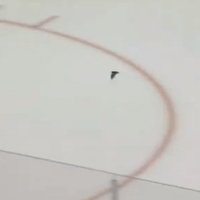 Video: NHL spēli iztraucē hallē ielidojis sikspārnis
