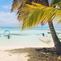 Ждем прямых рейсов в Доминикану: страны готовятся подписать соответствующий договор