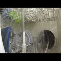 Hipnotisks video: Trauku mazgājamā mašīna darbībā