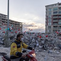 Эксперты: жертв землетрясения в Сирии могло быть меньше. Помощь опоздала по вине Асада и ООН