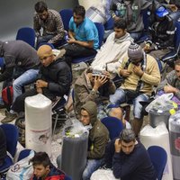 Число депортаций из Германии достигло рекордного уровня