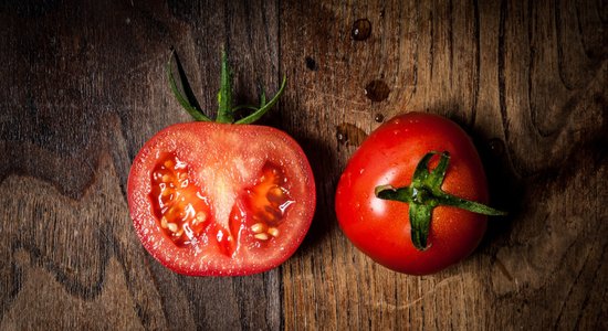 Ko mums māca ģenētiski modificēts tomāts?