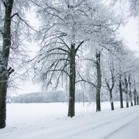 Американские синоптики прогнозируют Балтии холодную и снежную зиму