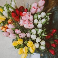 Восемь секретов, как сохранить тюльпаны в вазе до 10 дней
