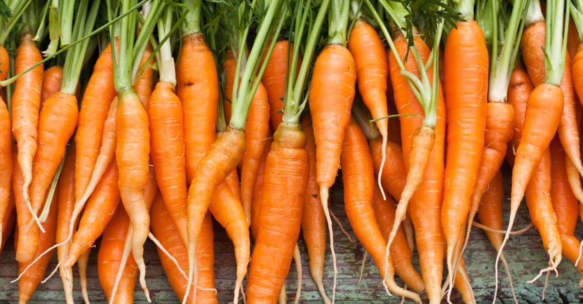 Оптимальная частота полива морковки
