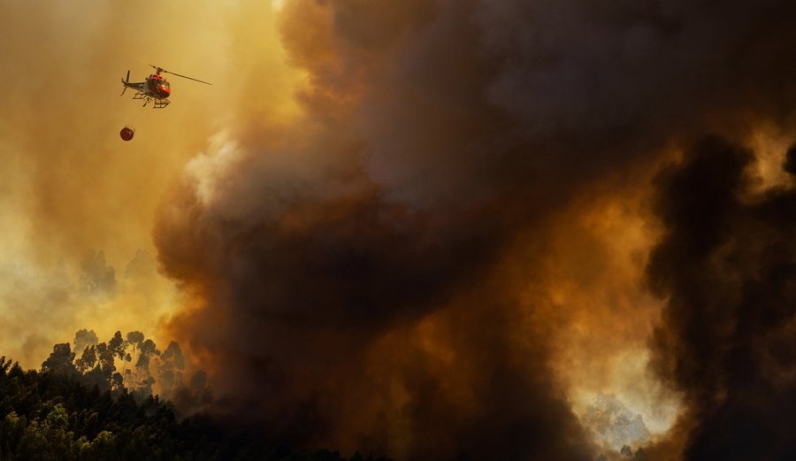 Travelers Beware: Forest Fires in Southern Europe – Greece, Italy, Croatia, Spain, and Portugal