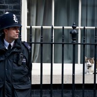 Коронавирус: правительство Британии планирует закрыть в карантин всех стариков на месяцы