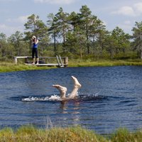 Idejas brīvdienām: skaistākie Igaunijas ezeri veldzējošai peldei