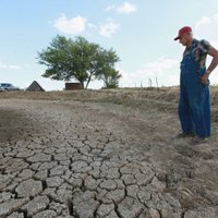 Синоптики: такой засухи в США не было более полувека