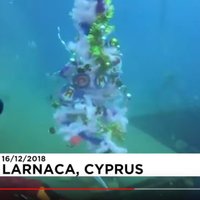 ВИДЕО. На Кипре новогоднюю елку установили на дне моря