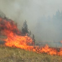 Лесные пожары в Якутии угрожают более чем десятку населенных пунктов