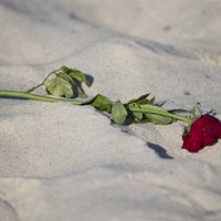 Бойня в Тунисе: большинство погибших — британцы