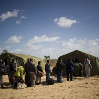 Евросоюз и страны Африки эвакуируют из Ливии 3800 беженцев