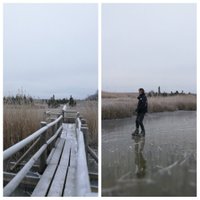 ФОТО. Развлечение — катание на коньках на озере Каниерис глядя рыбе прямо в глаза