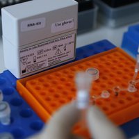 PVO: Eiropai strauji jārīkojas, lai novērstu Zikas vīrusa izplatīšanos
