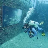 Video: Izveidota mākslas galerija okeāna dzelmē