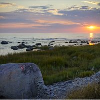 Foto: Aculiecinieku priecē krāšņā dabas bagātība Gotlandes salā