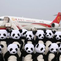 Pirmā Ķīnā būvētā reģionālā pasažieru lidmašīna veic pirmo komercreisu