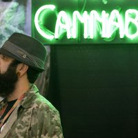 За легализацию марихуаны собрано 10 000 подписей, вопросом займется Сейм
