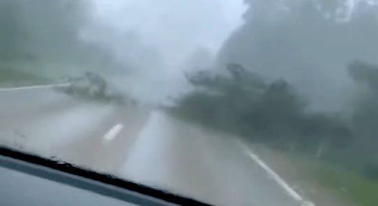 Video: Negaisā Latgalē autovadītāja acu priekšā gāžas koki uz ceļa