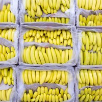 Почему бананы дешевеют? Как связано колебание цен в Латвии с российским баном Эквадора