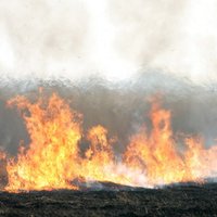 Pirmdien visā Latvijā dzēsts 91 kūlas ugunsgrēks