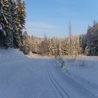 Orientieristam Raivo Kivleniekam 17.vieta pasaules ziemas čempionāta garajā distancē