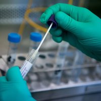 В Германии зафиксирован пятый случай заражения коронавирусом из КНР